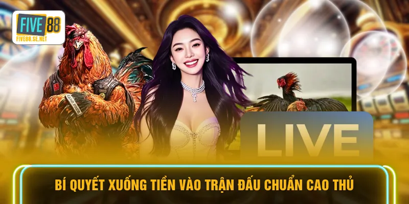 Bí quyết xuống tiền vào trận đấu chuẩn cao thủ