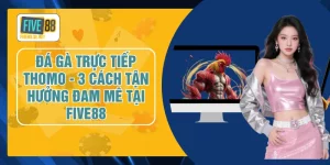 Đá Gà Trực Tiếp Thomo - 3 Cách Tận Hưởng Đam Mê Tại FIVE88
