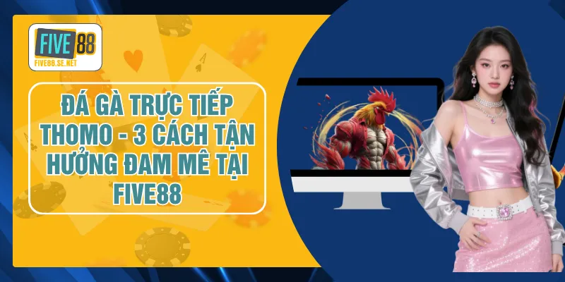 Đá Gà Trực Tiếp Thomo - 3 Cách Tận Hưởng Đam Mê Tại FIVE88