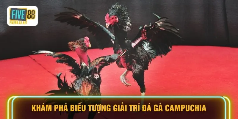 Đá Gà Campuchia - Đột Kích Đấu Trường Nghẹt Thở 2026 2 Khám phá biểu tượng giải trí đá gà Campuchia