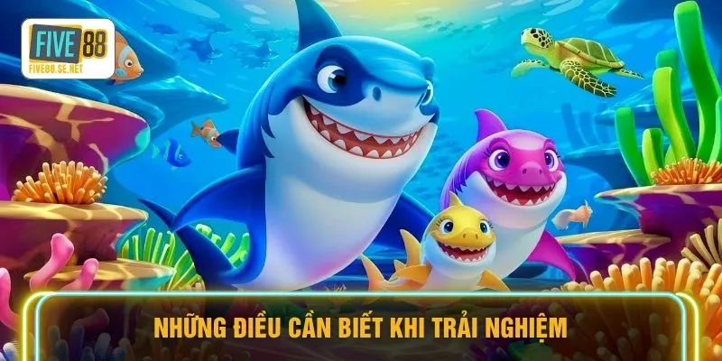 Tỷ Phú Đại Dương FIVE88 - Vòng Quay Định Mệnh Săn Boss 3 Những điều cần biết khi trải nghiệm