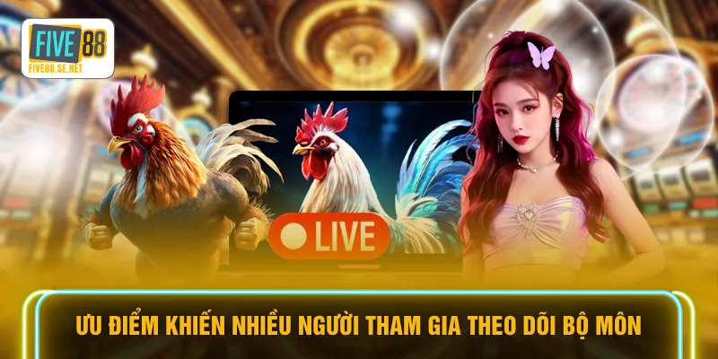 Đá Gà Cựa Dao - Top 1 Sàn Đấu Kịch Tính Nhất Tại FIVE88 3 Ưu điểm khiến nhiều người tham gia theo dõi bộ môn